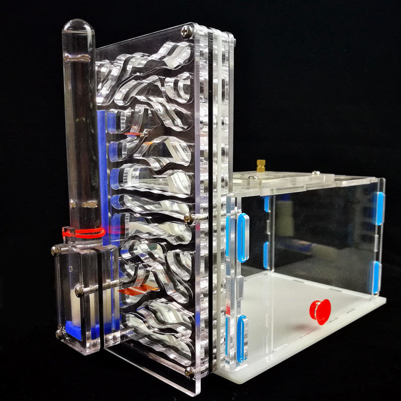 Acrylic Nest Gypsum Nest