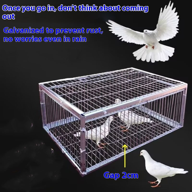 Outdoor Household Roof Only-in-no-out Pigoen Cage
