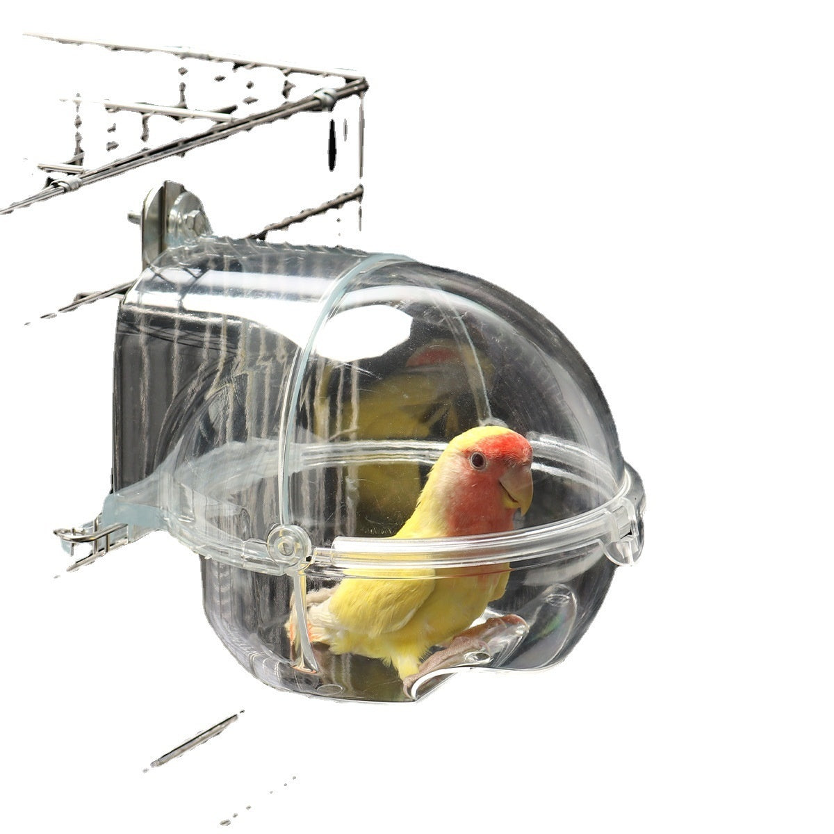 Parrot Bathtub For Birds Plug-in