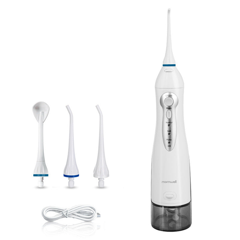 Electric portable dental scaler