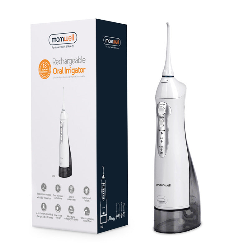 Electric portable dental scaler